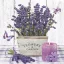 Blume Wooden Pot Lavendel Serviette, 20 Stück Packung, 33x33 cm
