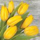 Blume On Wood Gelbe Tulpe Serviette 20er-Pack 33x33 cm