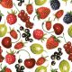 Früchte Summer Fruits Servietten 20er Pack 33x33 cm