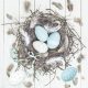 Ostern Pastel Blue Natural Nest Serviette 20 Stk 33x33 cm