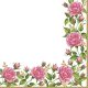 Blume Frame with Garden Roses Serviette 20 Stk 33x33 cm