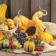 Blume Fruits Herbst Serviette 20 Stk 33x33 cm
