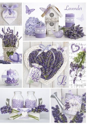 Farbe Mosaic Lavendel A/4 Gummimappe