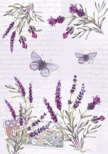 Farbe Butterfly Lavendel-A/4 Dokumentenmappe mit Gummiband