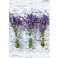 Farbe Bouquet Lavendel A/4 Gummimappe