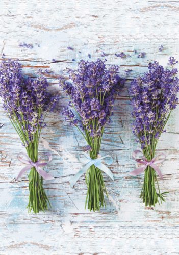 Farbe Bouquet Lavendel A/4 Gummimappe