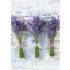 Farbe Bouquet Lavendel A/4 Gummimappe