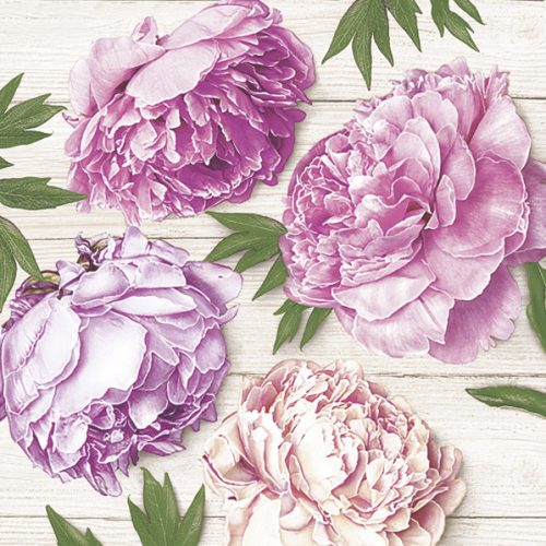 Blume White Wood Pfingstrose Serviette 20 Stk 33x33 cm