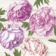 Blume White Wood Pfingstrose Serviette 20 Stk 33x33 cm