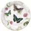 Schmetterling Retro Background Pappteller 8 Stk 18 cm