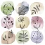 Blume Flora Stamps Serviette 20 Stk 33x33 cm