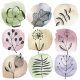Blume Flora Stamps Serviette 20 Stk 33x33 cm