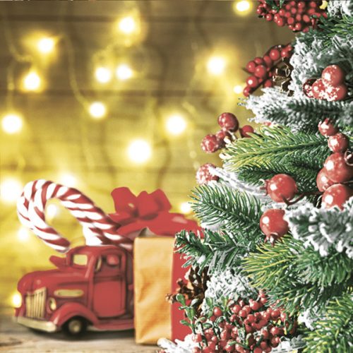 Weihnachten Cozy Scene Servietten 20er Pack, 33x33 cm