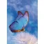 Schmetterling Butterfly Natur A/4 Gummibandordner