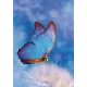Schmetterling Butterfly Natur A/4 Gummibandordner