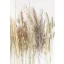 Schmetterling Golden Harvest Natur A/4 Gummibandmappe