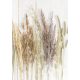 Schmetterling Golden Harvest Natur A/4 Gummibandmappe
