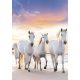 Pferd Gallop A/4 Gummibandmappe