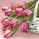Blume Falling Tulpen Serviette 20 Stk 33x33 cm