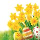 Ostern Bunch of Daffodils Serviette 20 Stk 33x33 cm