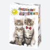 Geburtstag Friends Happy Birthday Papiertasche 23x32x11 cm