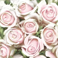   Blume Subtle Light Pink Rosentücherserviette 20 Stk. 33x33 cm
