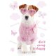 Hund Pink World A/4 Gummibandmappe