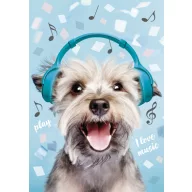 Hund Play Music A/4 Gummibandmappe