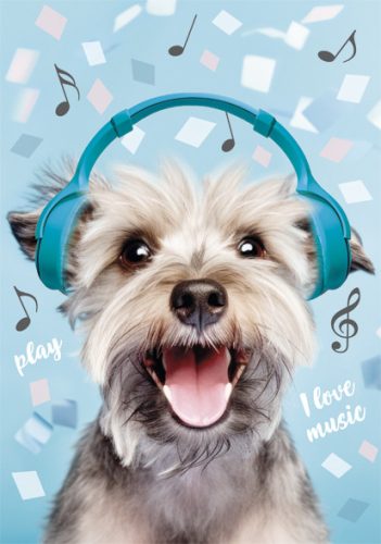 Hund Play Music A/4 Gummibandmappe