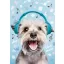 Hund Play Music A/4 Gummibandmappe