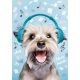 Hund Play Music A/4 Gummibandmappe