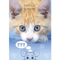 Katze Friends Forever A4 Gummimappec