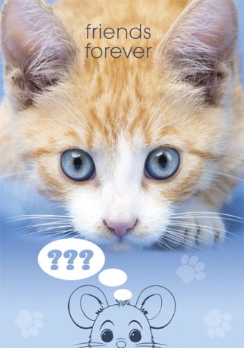 Katze Friends Forever A4 Gummimappec
