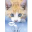 Katze Friends Forever A4 Gummimappec