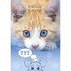 Katze Friends Forever A4 Gummimappec