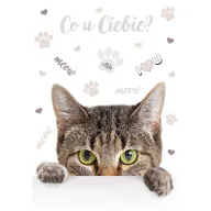 Katze Meow A/4 Gummibandmappe