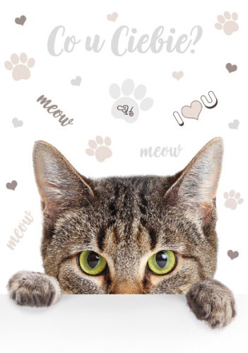 Katze Meow A/4 Gummibandmappe