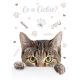 Katze Meow A/4 Gummibandmappe