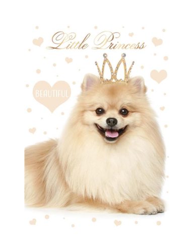 Hund Little Princess A4 elastischer Ordner