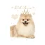 Hund Little Princess A4 elastischer Ordner