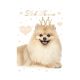 Hund Little Princess A4 elastischer Ordner