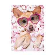 Hund Marshmallow A/4 Gummimappe
