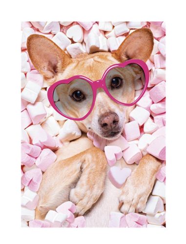 Hund Marshmallow A/4 Gummimappe