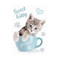 Katze Sweet Kitty A4 Gummizugmappe