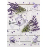 Farbe Rustic Lavendel A/4 Gummimappe