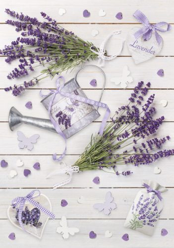 Farbe Rustic Lavendel A/4 Gummimappe