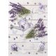 Farbe Rustic Lavendel A/4 Gummimappe