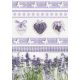 Farbe Heart Lavendel A/4 Gummimappe