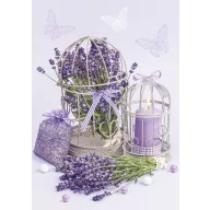 Farbe Cage Lavendel A/4 Gummimappe