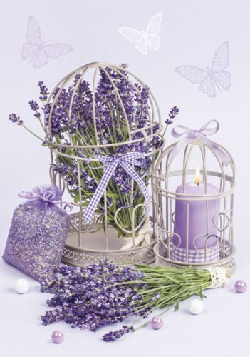 Farbe Cage Lavendel A/4 Gummimappe